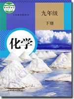 九年级化学下册