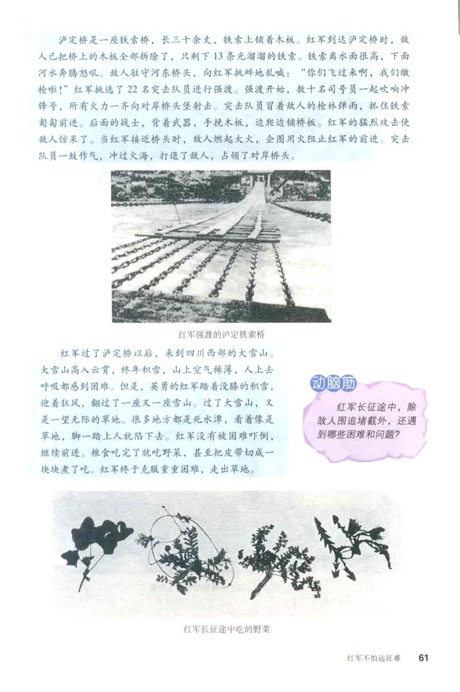 第13课 红军不怕远征难(第61页)