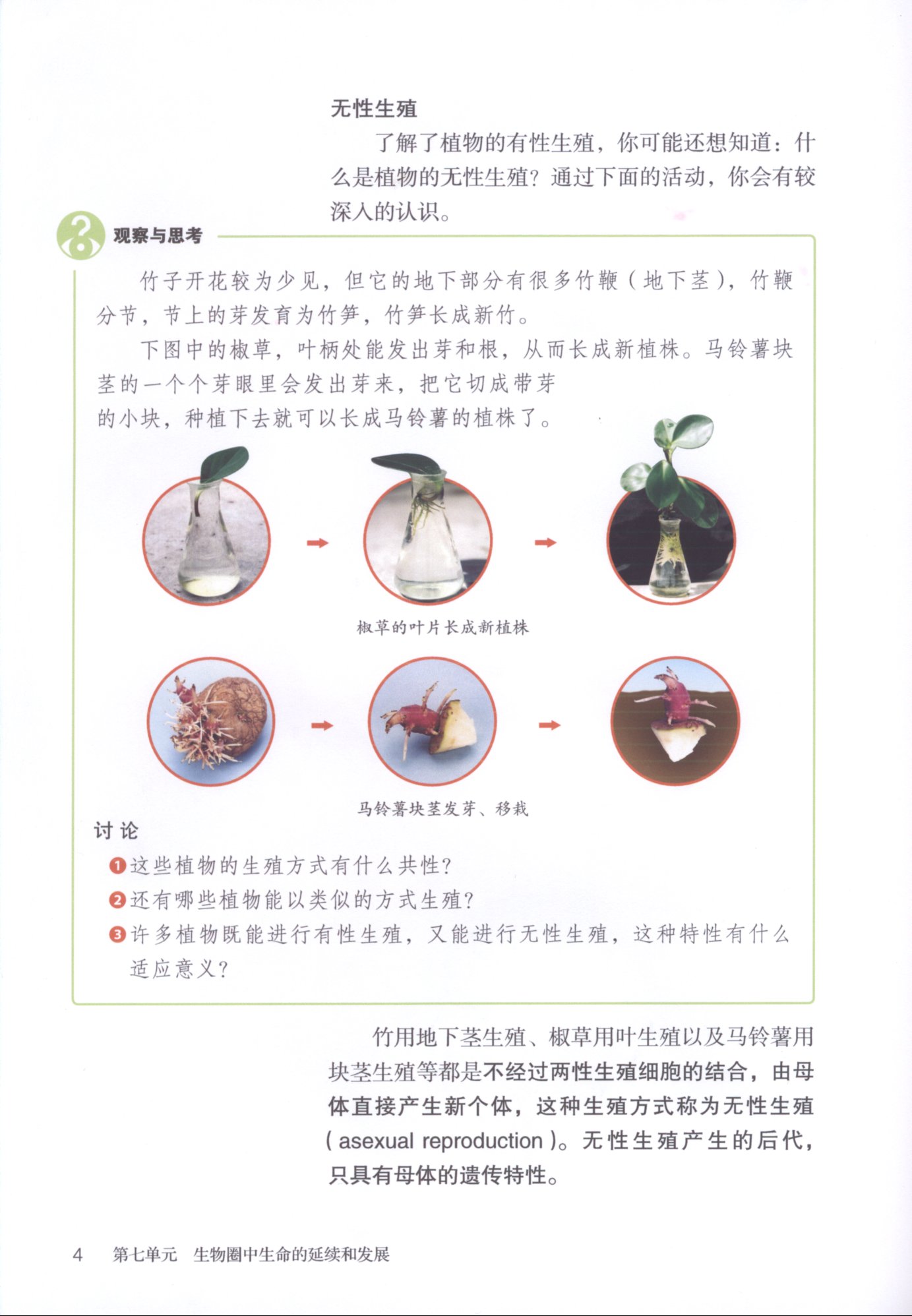 第一节 植物的生殖(第4页)