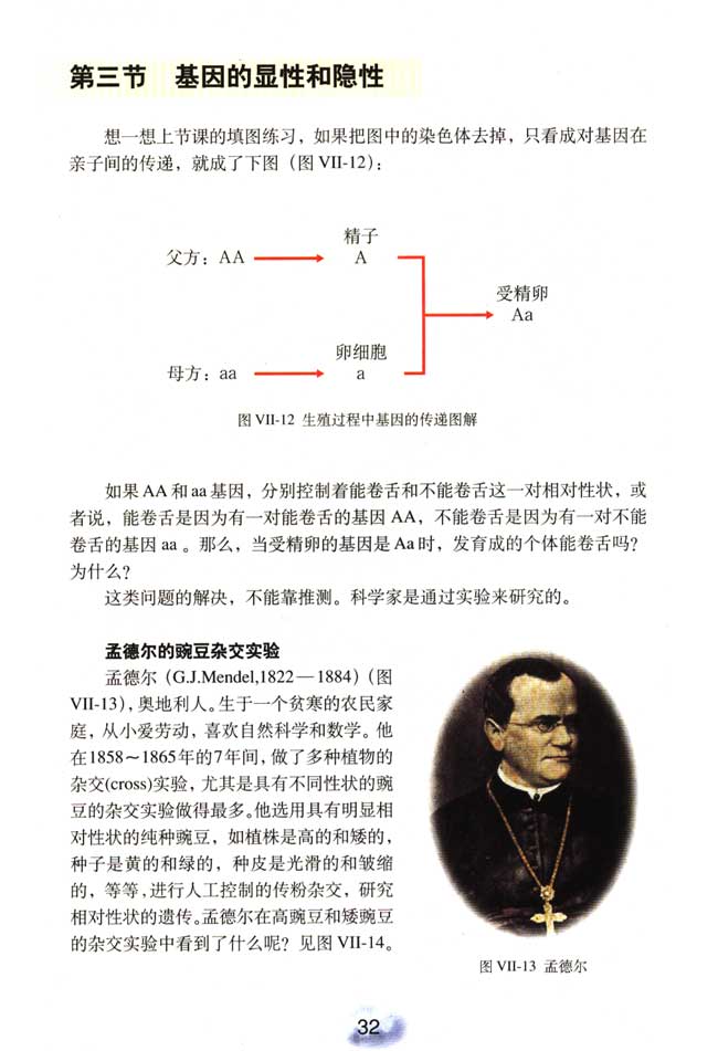 第二节 基因在亲子代间的传递(第30页)