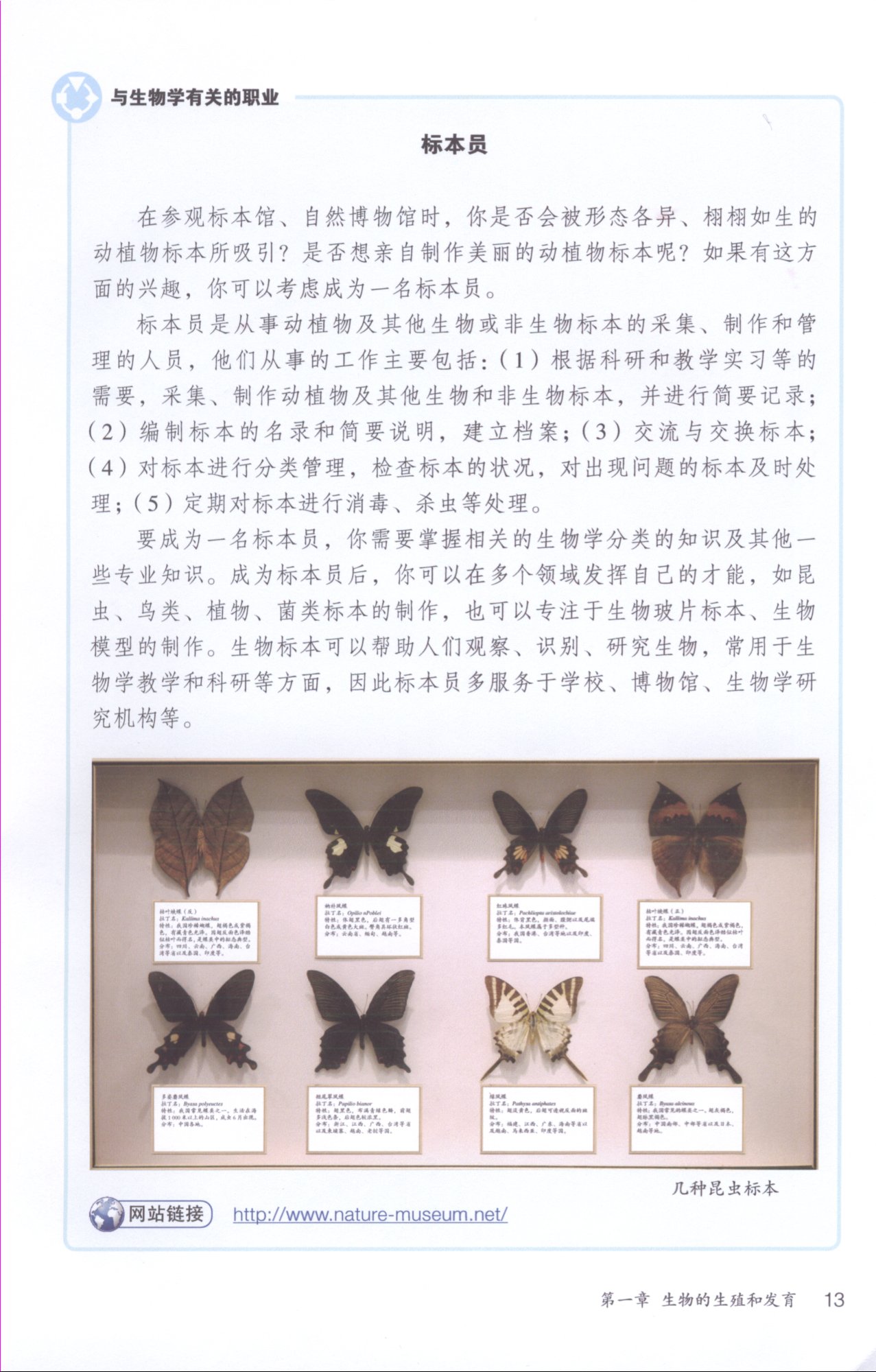 第二节 昆虫的生殖和发育(第12页)