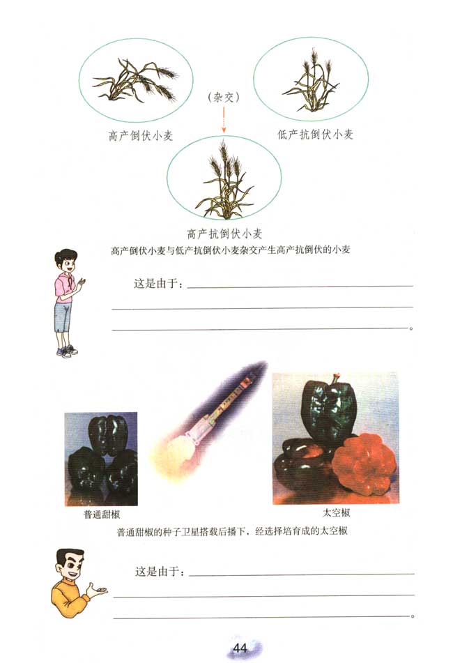 第五节 生物的变异(第42页)