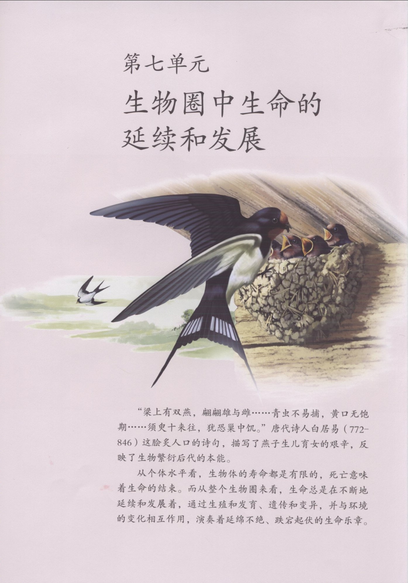 封面/前言/目录(第1页)