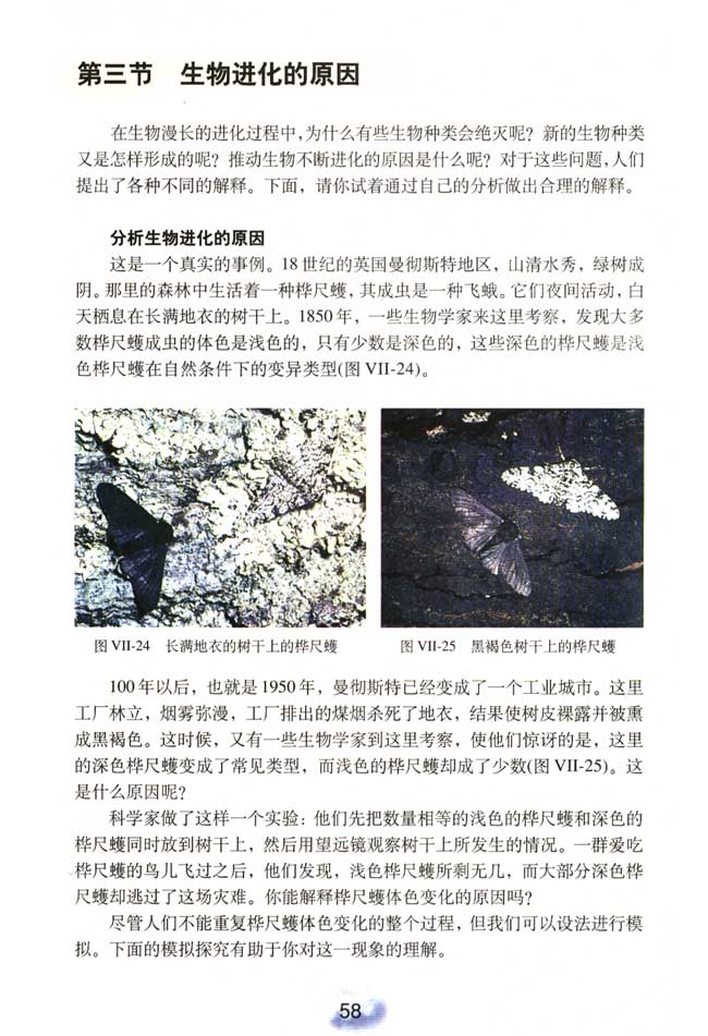 第二节 生物进化的历程(第56页)