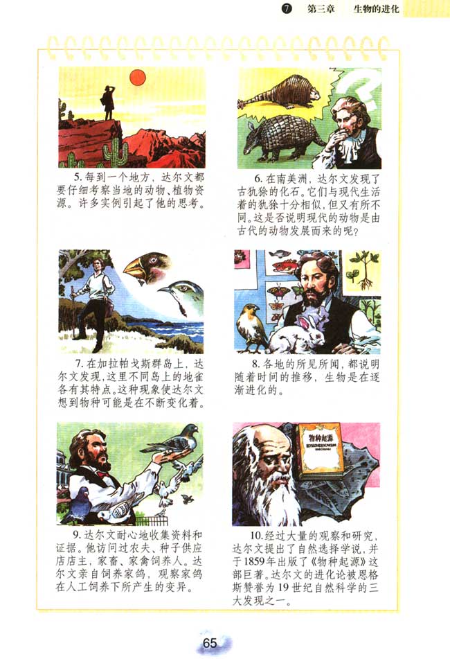 第三节 生物进化的原因(第63页)