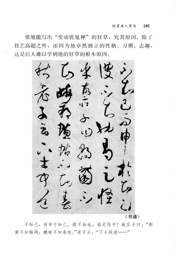 欣赏唐人草书(第245页)