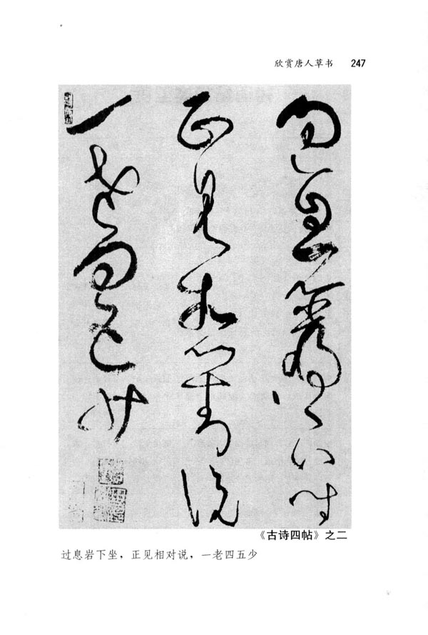 欣赏唐人草书(第247页)