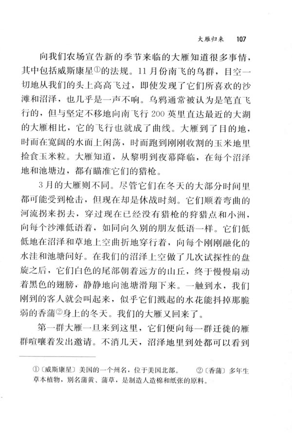 14 大雁归来(第107页)