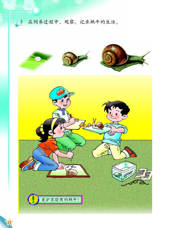 3 蜗牛天地(第12页)