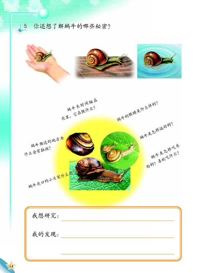 3 蜗牛天地(第14页)