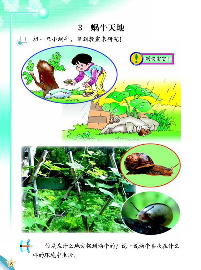 3 蜗牛天地(第10页)