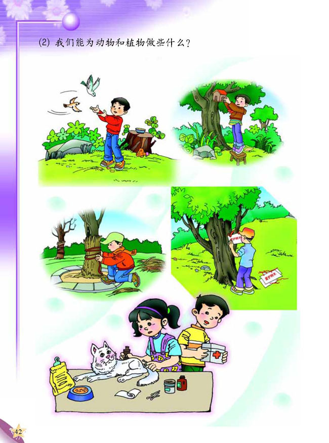 3 动物的家(第42页)