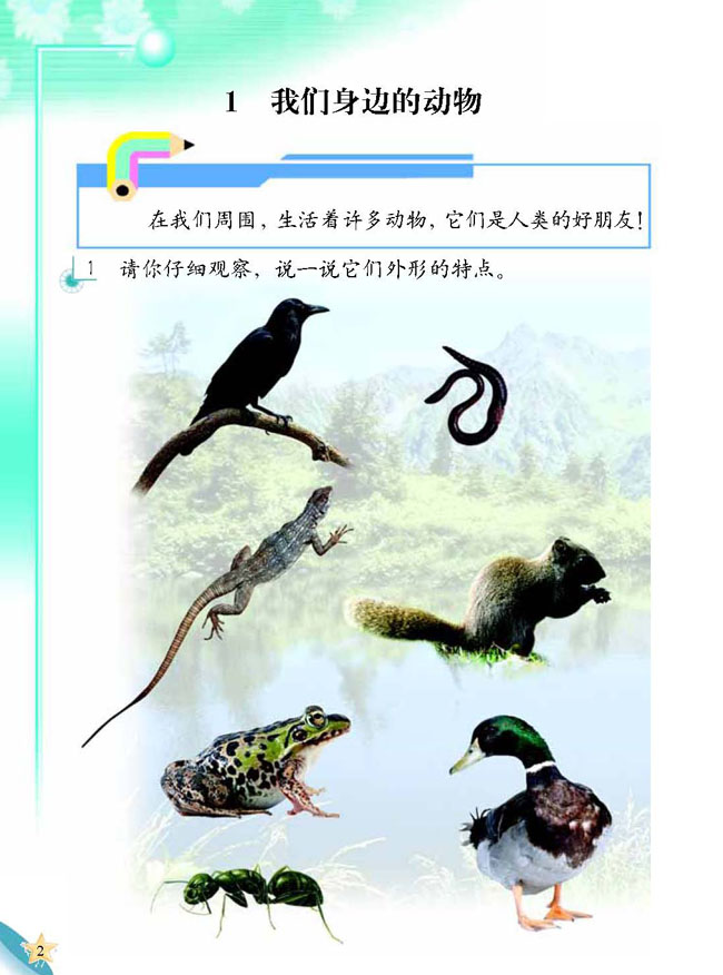 1 我们身边的动物(第2页)