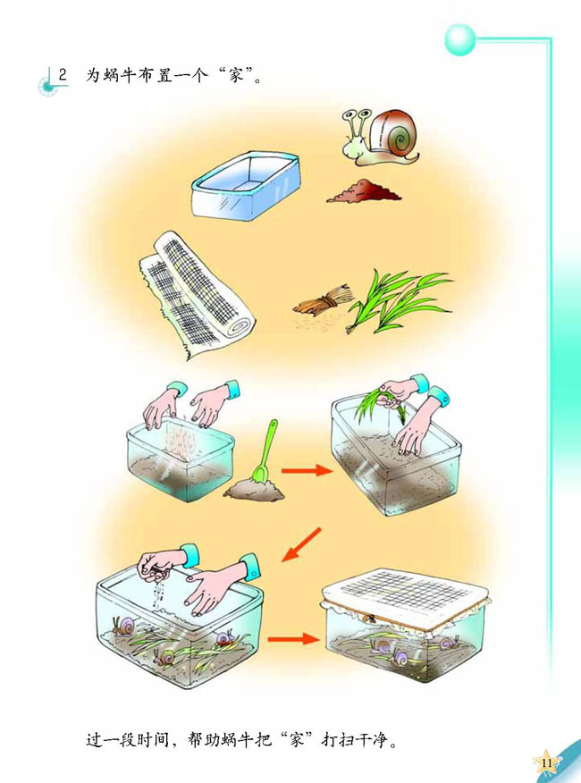 3 蜗牛天地(第11页)