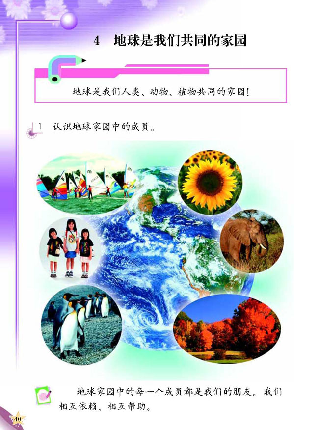 3 动物的家(第40页)