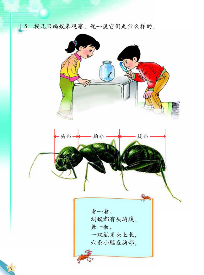 2 蚂蚁王国(第8页)