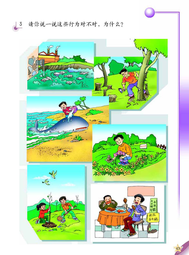 3 动物的家(第43页)