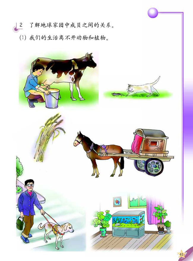 3 动物的家(第41页)