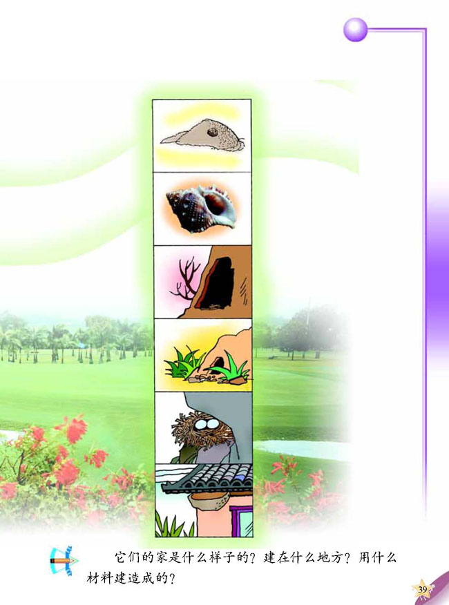 3 动物的家(第39页)