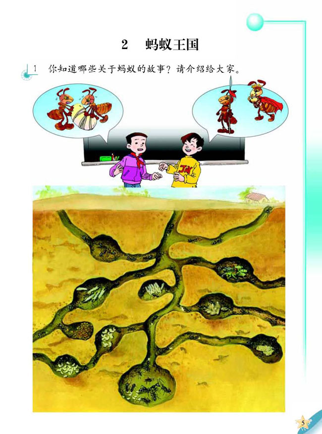 2 蚂蚁王国(第5页)