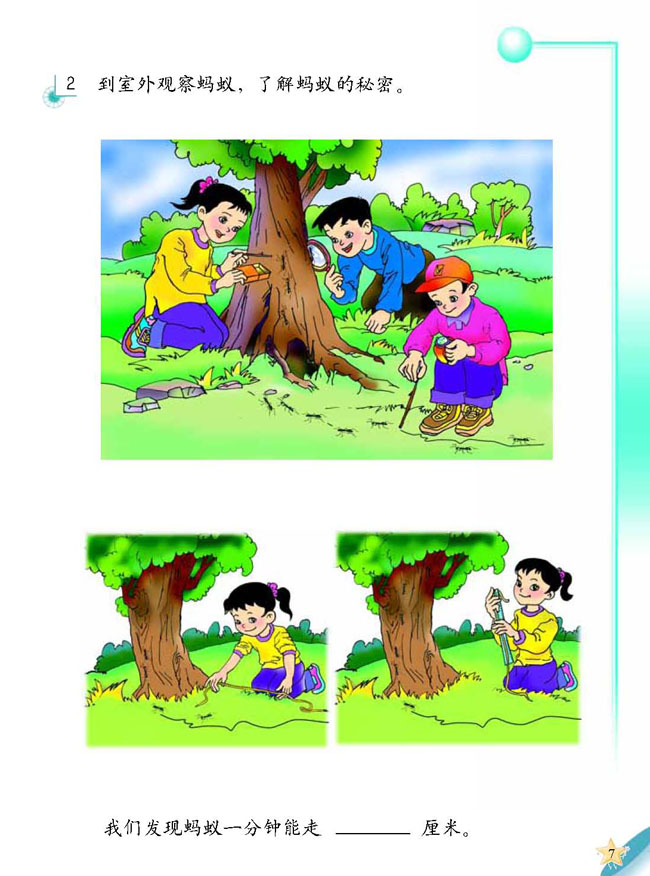 2 蚂蚁王国(第7页)