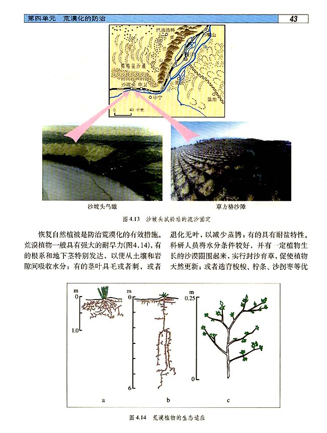 4．2 荒漠化的成因和防治(第43页)