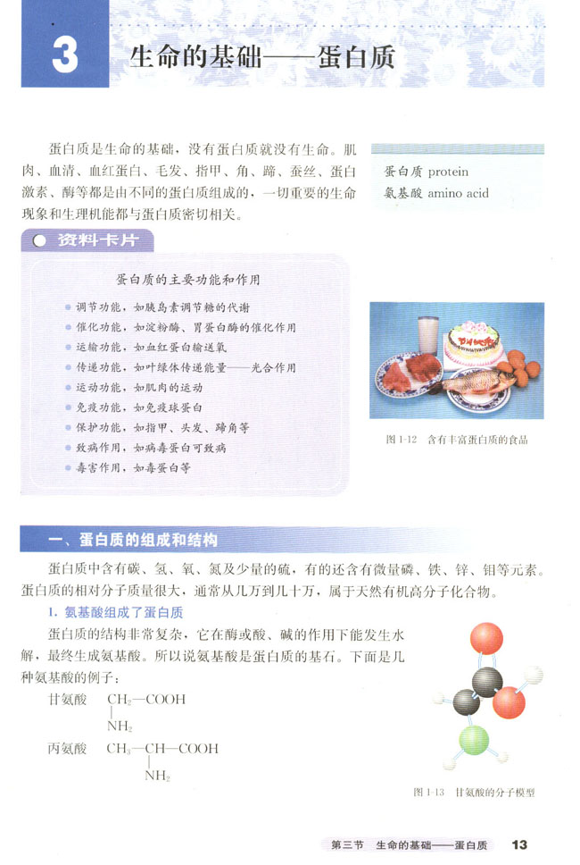 第三节 生命的基础――蛋白质(第15页)