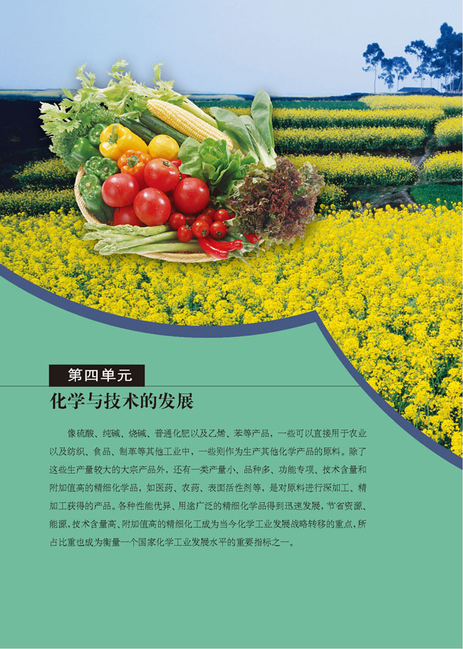 第四单元 化学与技术的发展(第82页)