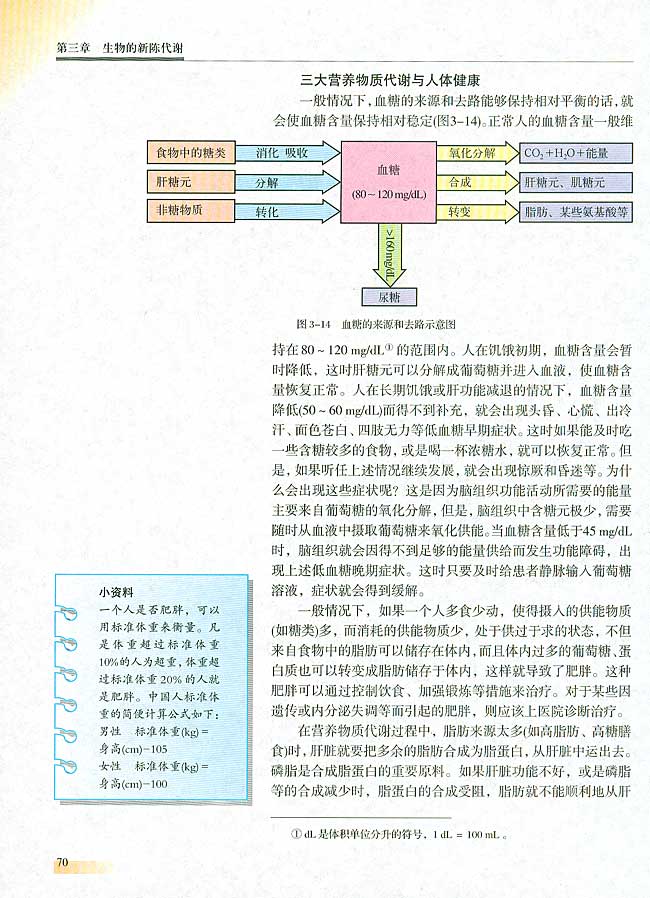 第六节 人和动物体内三大营养物质的代谢(第70页)