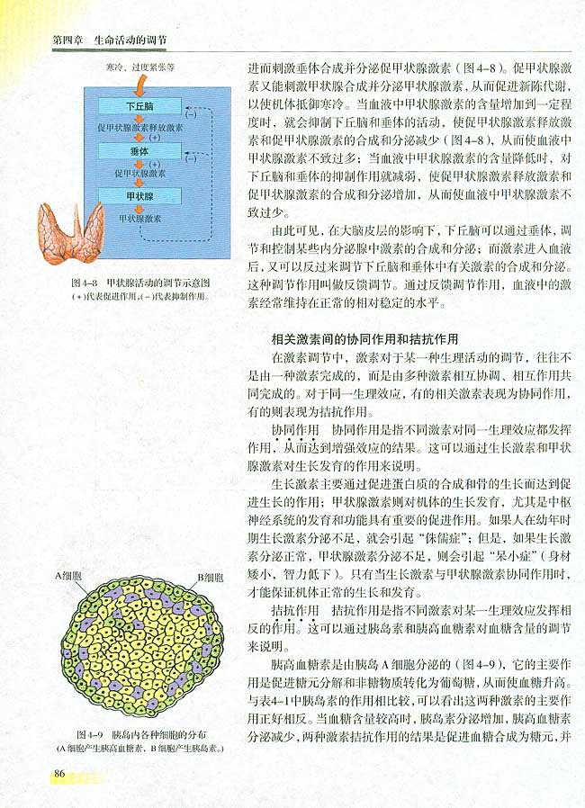 研究性课题 设计实验，观察生长素或生长素类     似物对植物生长发育的影响 第二节 人和高等动物生命活动的调节  一 体液调节(第86页)