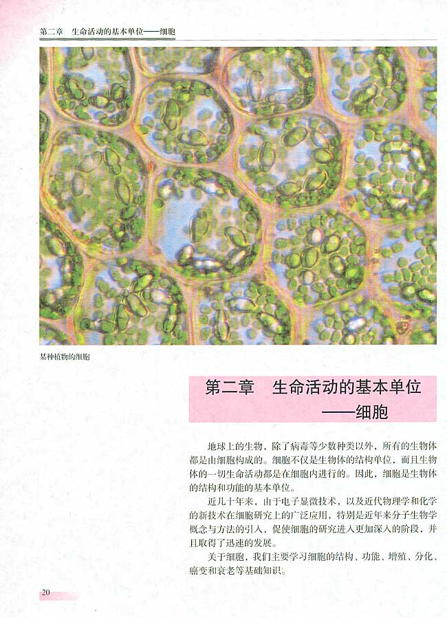 第二章 生命活动的物质基础──细胞(第19页)
