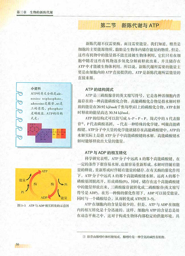 第二节 新陈代谢与ATP(第50页)