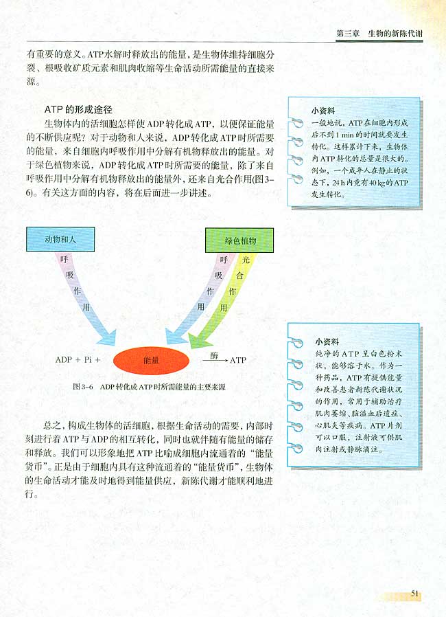 第二节 新陈代谢与ATP(第51页)
