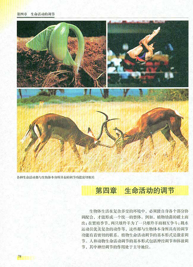 第四章 生命活动的调节(第78页)