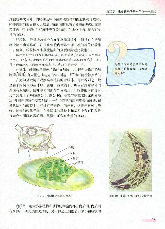二 细胞质的结构和功能(第26页)