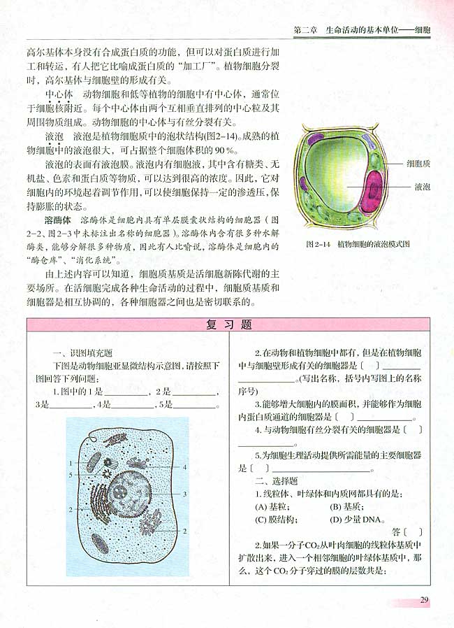 二 细胞质的结构和功能(第28页)