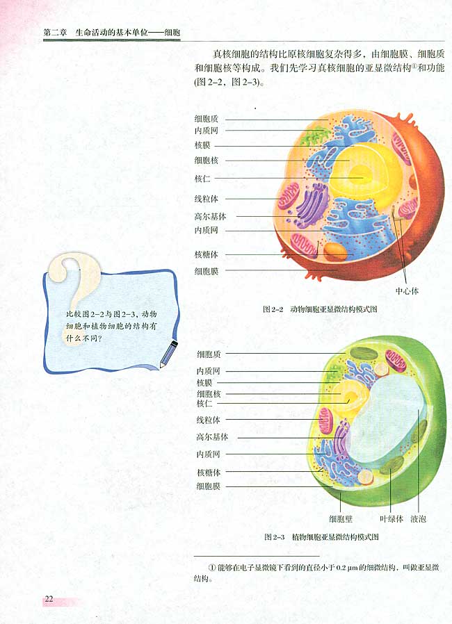 第一节 细胞的结构和功能(第21页)