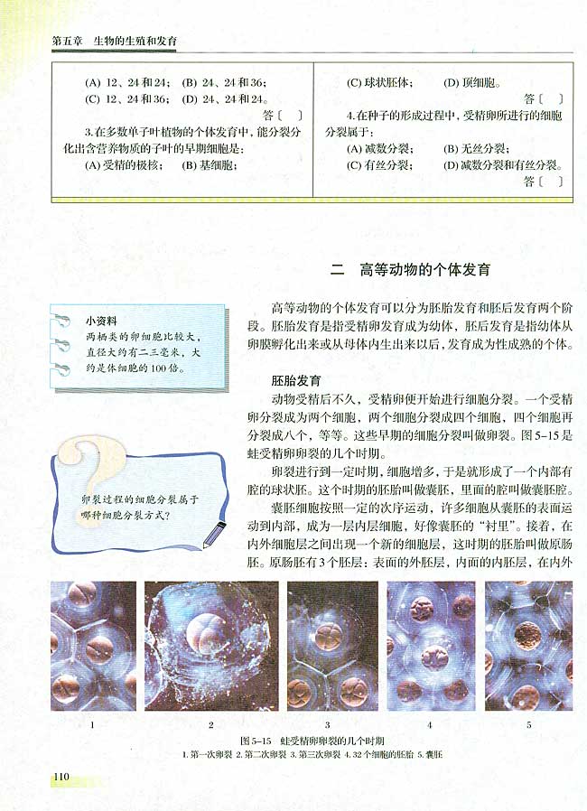 二 高等动物的个体发育(第110页)