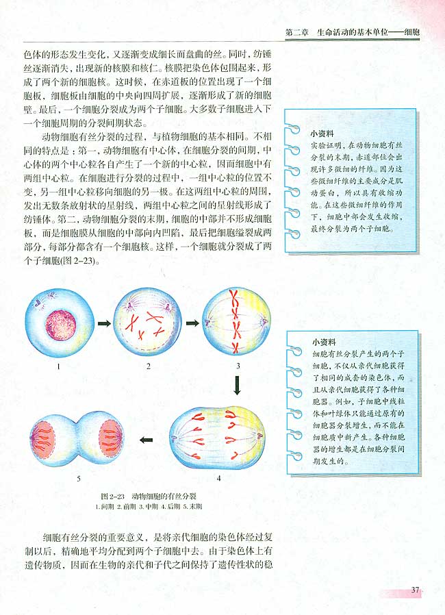 第二节 细胞增殖(第36页)