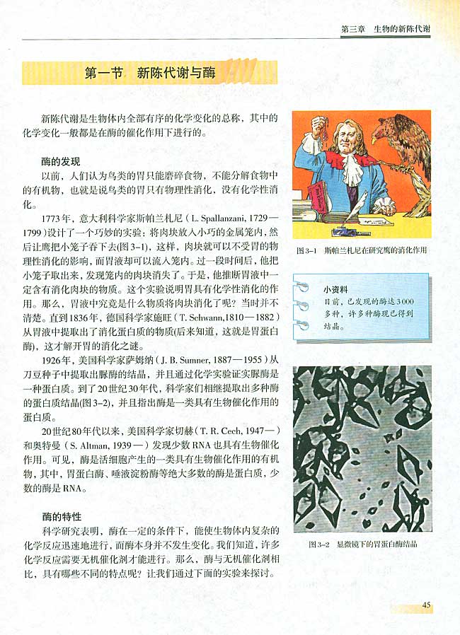 第一节 新陈代谢与酶(第45页)