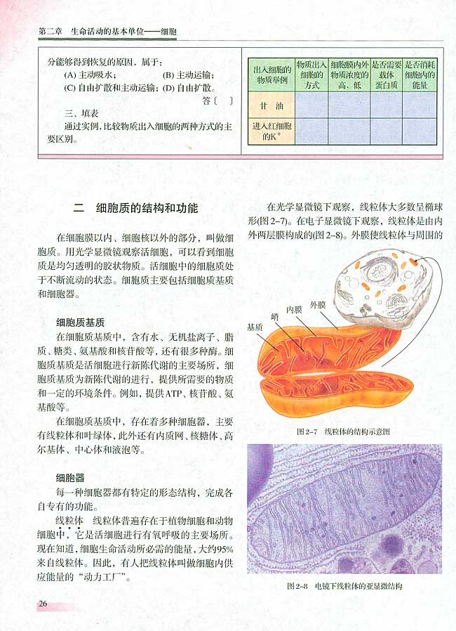 二 细胞质的结构和功能(第25页)