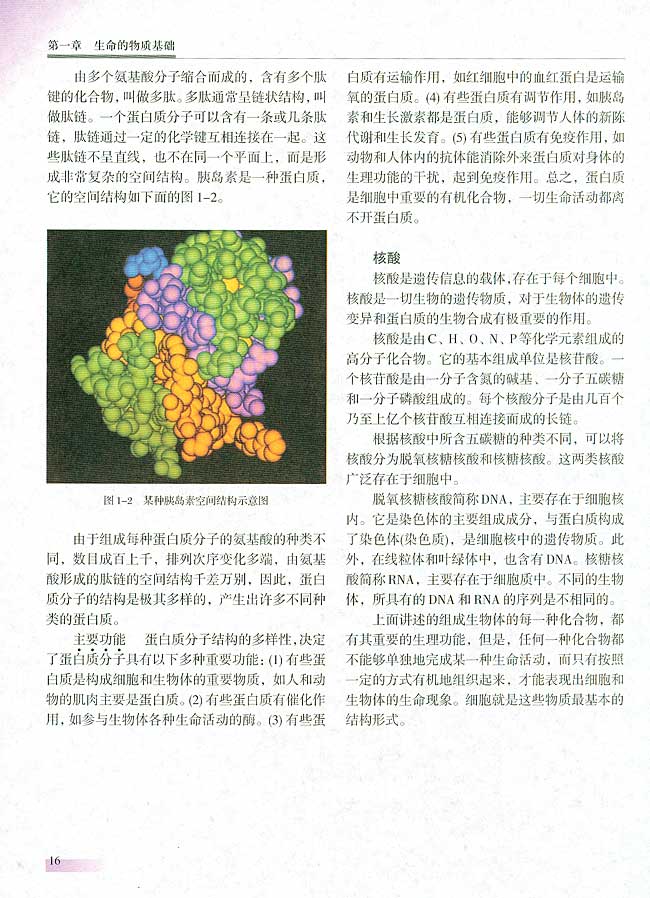 第二节 组成生物体的化合物(第15页)