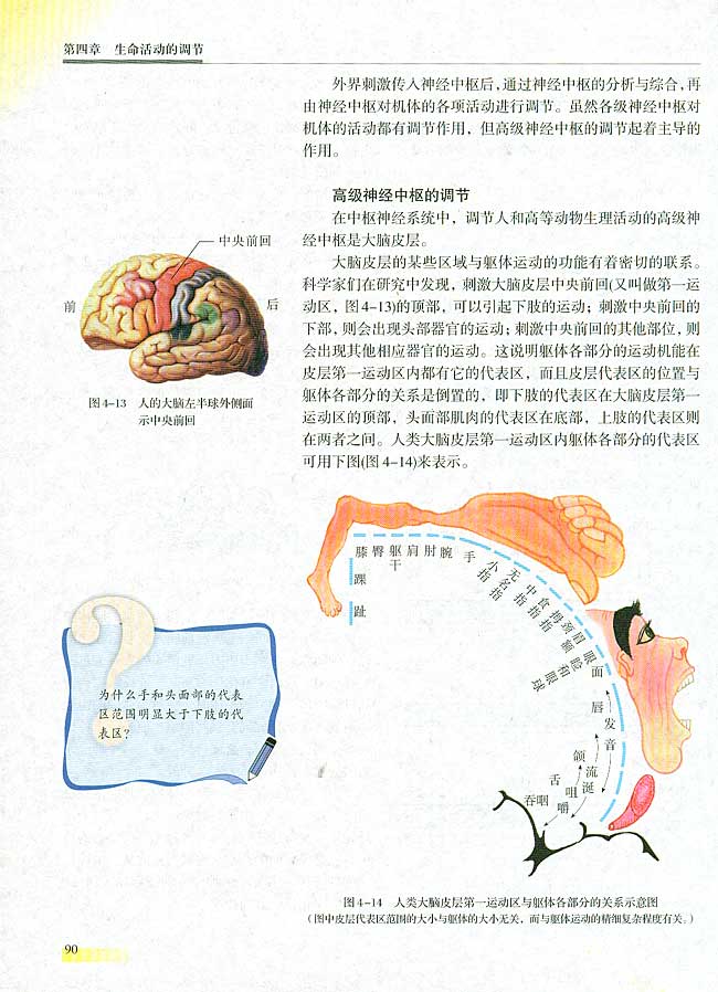 二 神经调节(第90页)