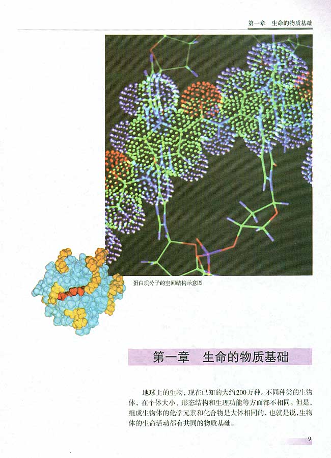 第一章 生命的物质基础(第8页)