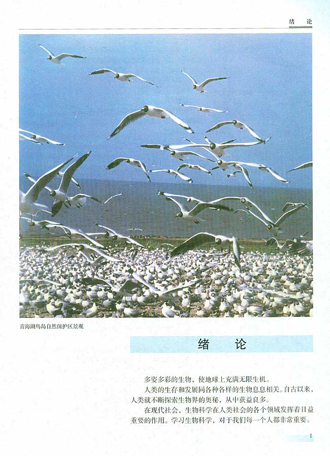 绪论