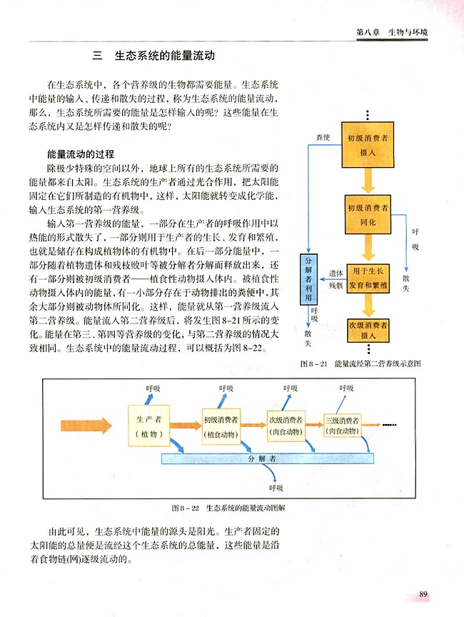 三 生态系统的能量流动(第89页)