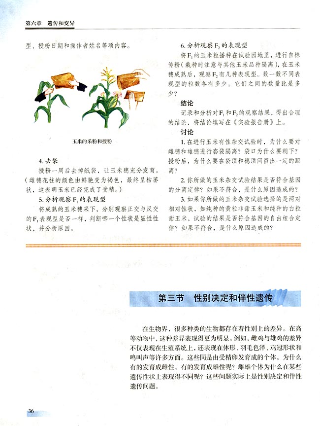 第三节 性别决定和伴性遗传(第36页)