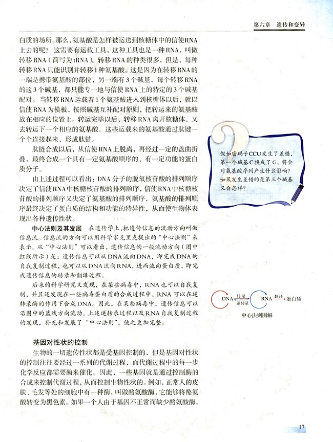三 基因的表达(第17页)