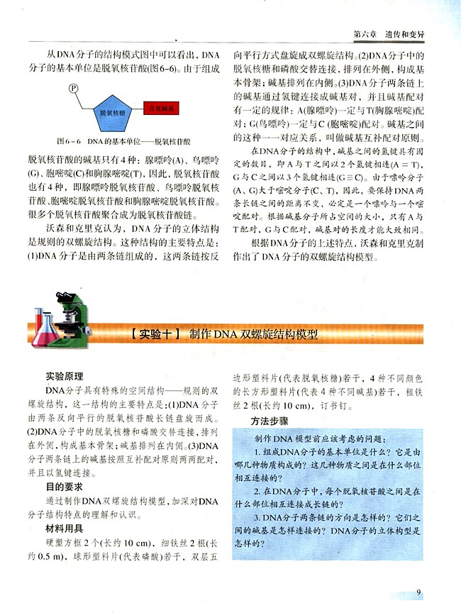 【实验十】 制作DNA双螺旋结构模型(第9页)