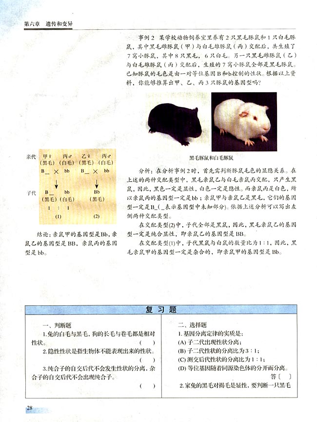 【实验十一】 性状分离比的模拟实验(第28页)